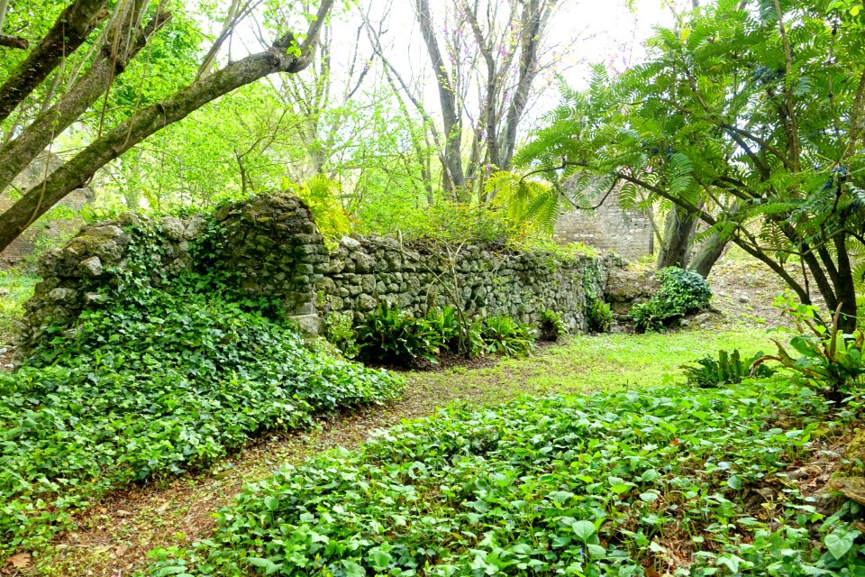 Garden scene - Giardino di Ninfa, Italy - DSC03097