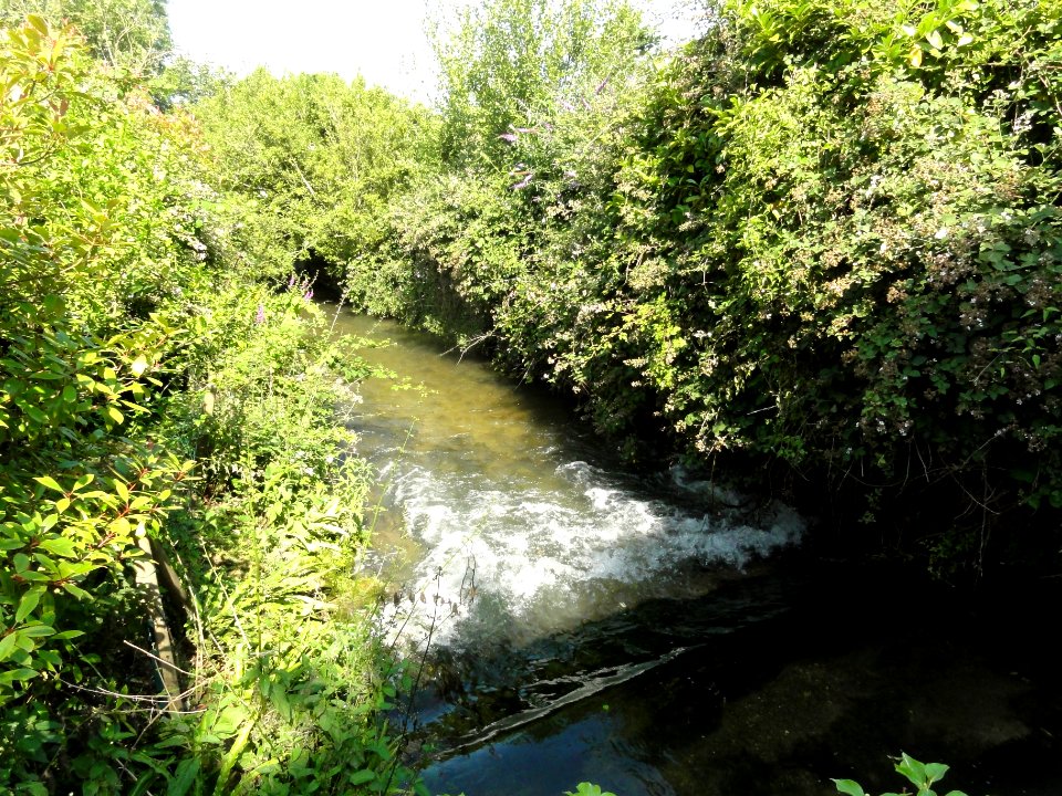 Ganzeville (Seine-Mar.) la Ganzeville (rivière) 2