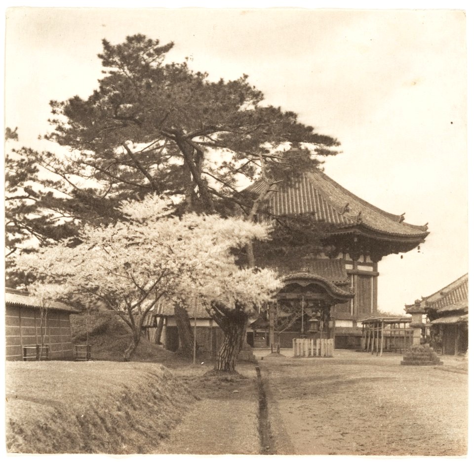 Garden Cherry Blossoms Kofukuji Nara by Adolf de Meyer 1900-1910