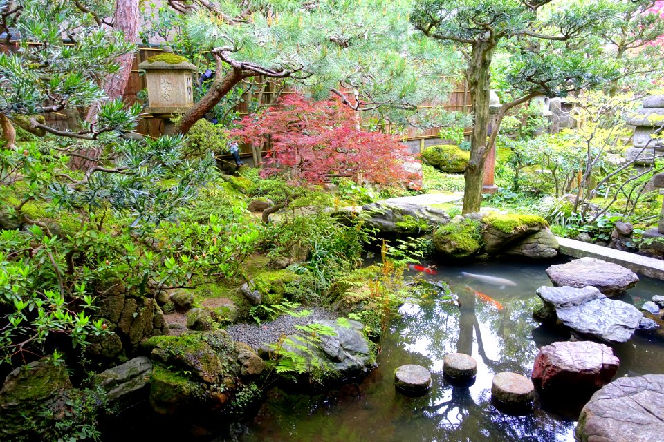 Garden - Nomura Samurai Family Residence - Nagamachi - Kanazawa, Japan - DSC00465