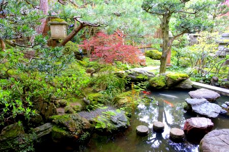 Garden - Nomura Samurai Family Residence - Nagamachi - Kanazawa, Japan - DSC00465