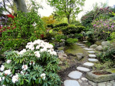 Garden path - Tivoli Gardens (Copenhagen) - DSC08390 photo