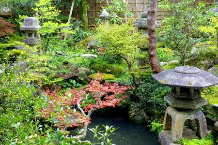 Garden - Nomura Samurai Family Residence - Nagamachi - Kanazawa, Japan - DSC00363
