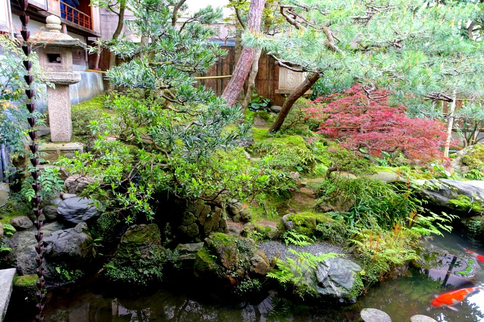 Garden - Nomura Samurai Family Residence - Nagamachi - Kanazawa, Japan - DSC00447