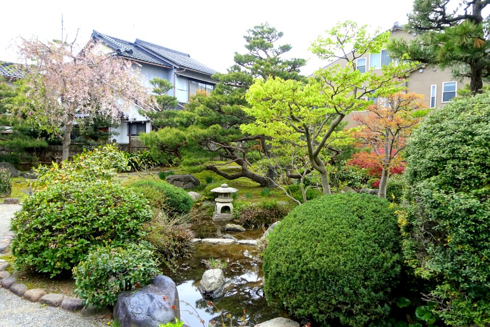 Garden - Takada Family Residence - Kanazawa, Japan - DSC00535