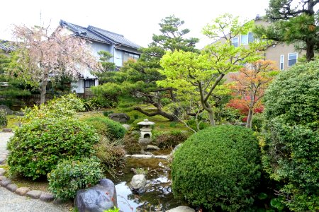 Garden - Takada Family Residence - Kanazawa, Japan - DSC00535