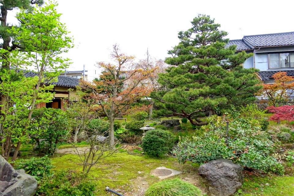 Garden - Takada Family Residence - Kanazawa, Japan - DSC00523