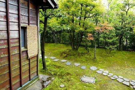 Garden - Shinise Kinenkan Museum - Nagamachi - Kanazawa, Japan - DSC00174