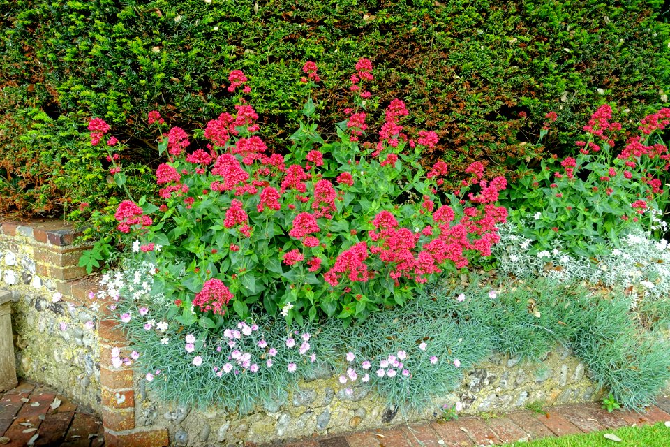 Garden - Alfriston Clergy House - Alfriston, East Sussex, England - DSC05145