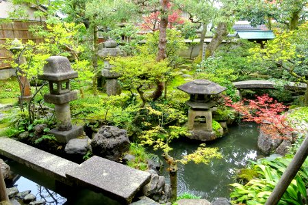 Garden - Nomura Samurai Family Residence - Nagamachi - Kanazawa, Japan - DSC00421