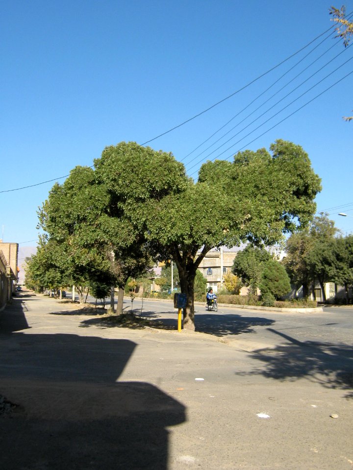 Gas st - Nishapur (1)