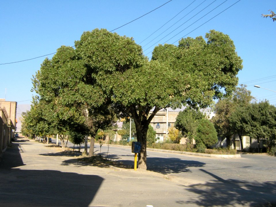 Gas st - Nishapur (2)