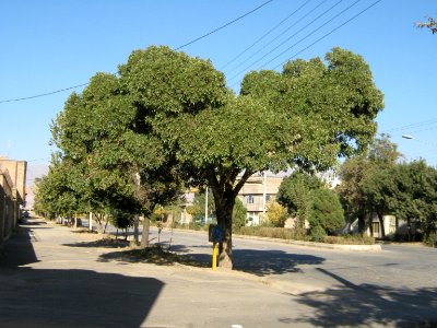 Gas st - Nishapur (2)