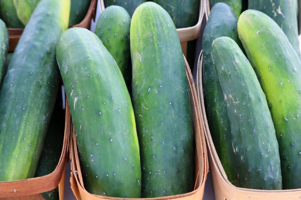 Food healthy organic
