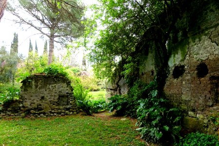Garden scene - Giardino di Ninfa, Italy - DSC03136