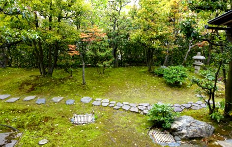 Garden - Shinise Kinenkan Museum - Nagamachi - Kanazawa, Japan - DSC00172