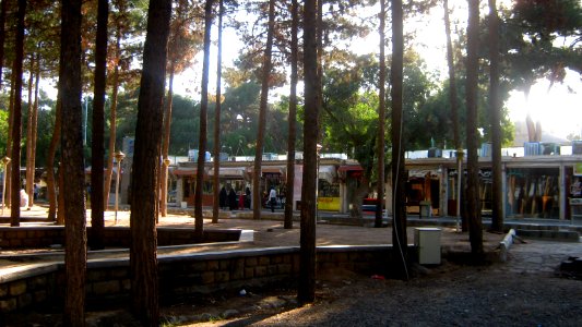 Garden of Pine - West of Omar Khayyam Tomb - Nishapur 18