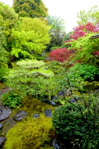 Garden - Kanchi-in - Toji - Kyoto, Japan - DSC07131
