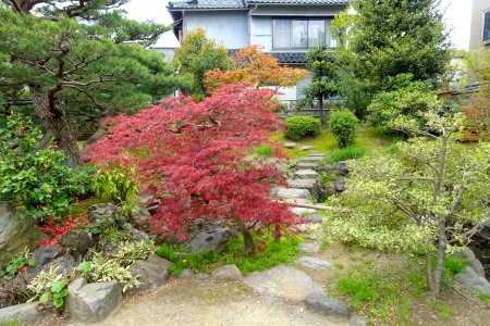 Garden - Takada Family Residence - Kanazawa, Japan - DSC00525
