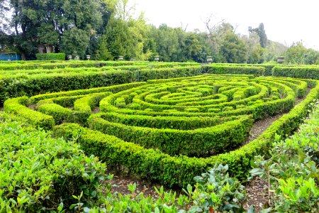 Garden - Castello Ruspoli - Vignanello, Italy - DSC02771
