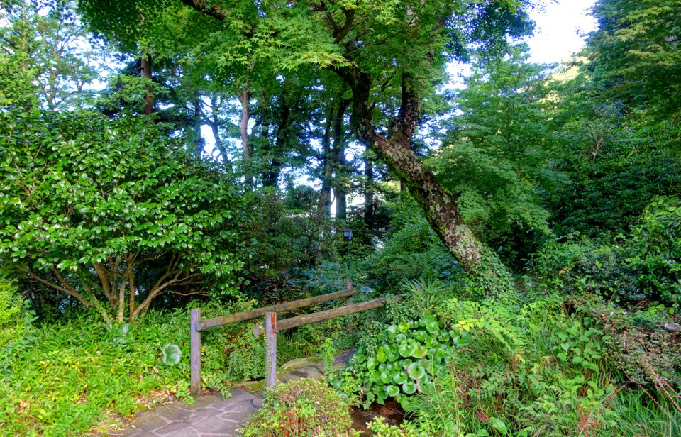 Garden - Fujiya Hotel - Hakone, Japan - DSC06180