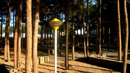 Garden of Pine - West of Omar Khayyam Tomb - Nishapur 28