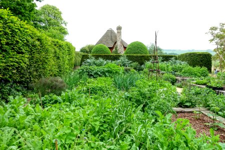 Garden - Alfriston Clergy House - Alfriston, East Sussex, England - DSC05139
