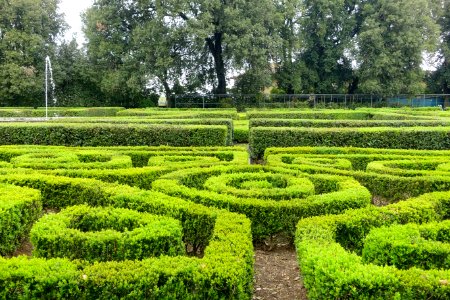 Garden - Castello Ruspoli - Vignanello, Italy - DSC02769