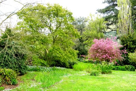 Garden scene - Giardino di Ninfa, Italy - DSC03154