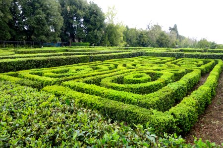 Garden - Castello Ruspoli - Vignanello, Italy - DSC02762