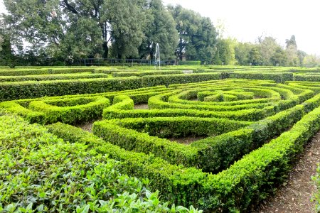 Garden - Castello Ruspoli - Vignanello, Italy - DSC02761