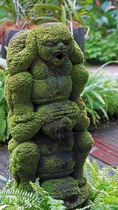 Orchid garden moss botanical garden
