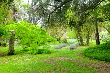 Garden scene - Giardino di Ninfa, Italy - DSC03093