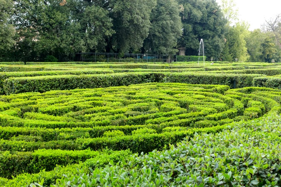 Garden - Castello Ruspoli - Vignanello, Italy - DSC02737