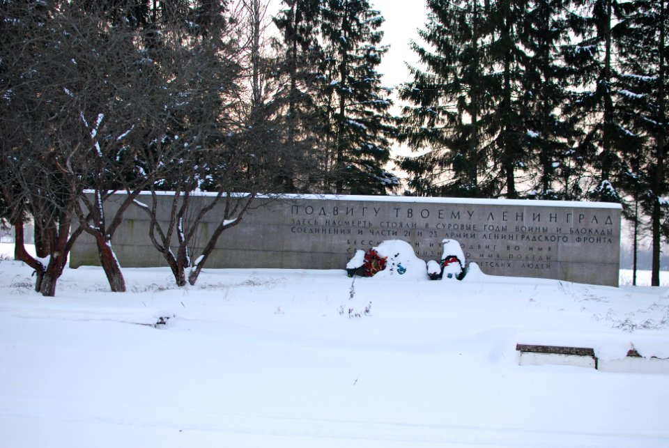Garden of Peace