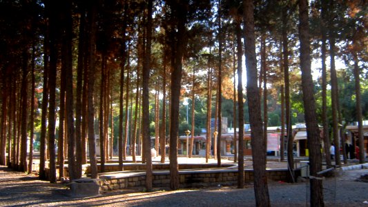 Garden of Pine - West of Omar Khayyam Tomb - Nishapur 17