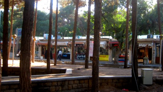 Garden of Pine - West of Omar Khayyam Tomb - Nishapur 19
