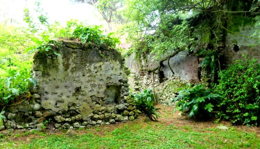Garden scene - Giardino di Ninfa, Italy - DSC03140