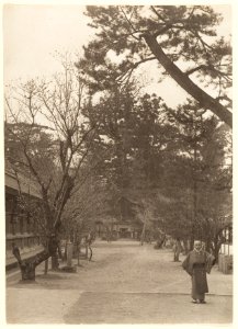 Garden Scene with Young Man Working by Adolf de Meyer 1900-1910