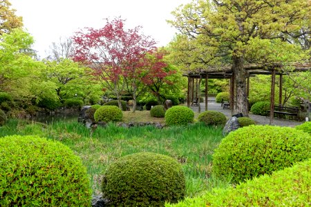 Garden - Toji - Kyoto, Japan - DSC07071