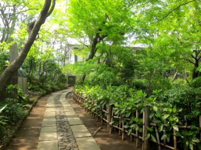 Garden - Hatakeyama Memorial Museum of Fine Art - Tokyo, Japan - IMG 7333