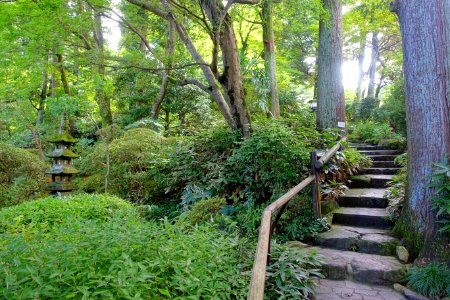 Garden - Fujiya Hotel - Hakone, Japan - DSC06130