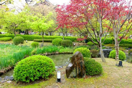 Garden - Toji - Kyoto, Japan - DSC07081