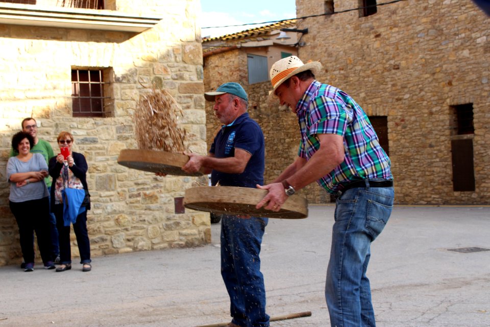 Garbellant Mètod antic de batre el fesol de l'ull ros (8)