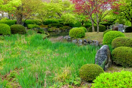 Garden - Toji - Kyoto, Japan - DSC07075