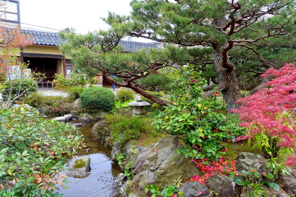 Garden - Takada Family Residence - Kanazawa, Japan - DSC00529