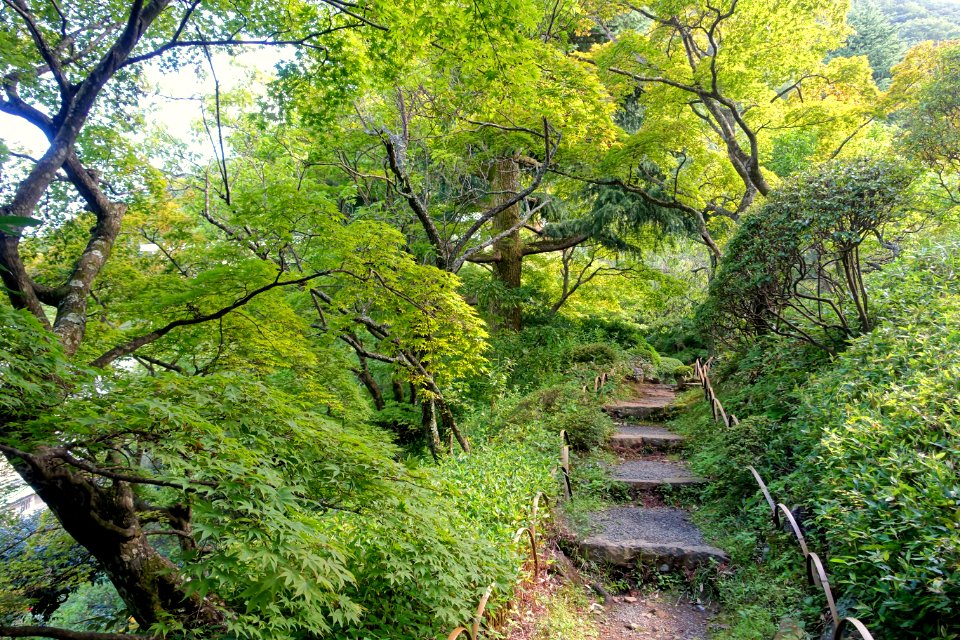 Garden - Fujiya Hotel - Hakone, Japan - DSC06140