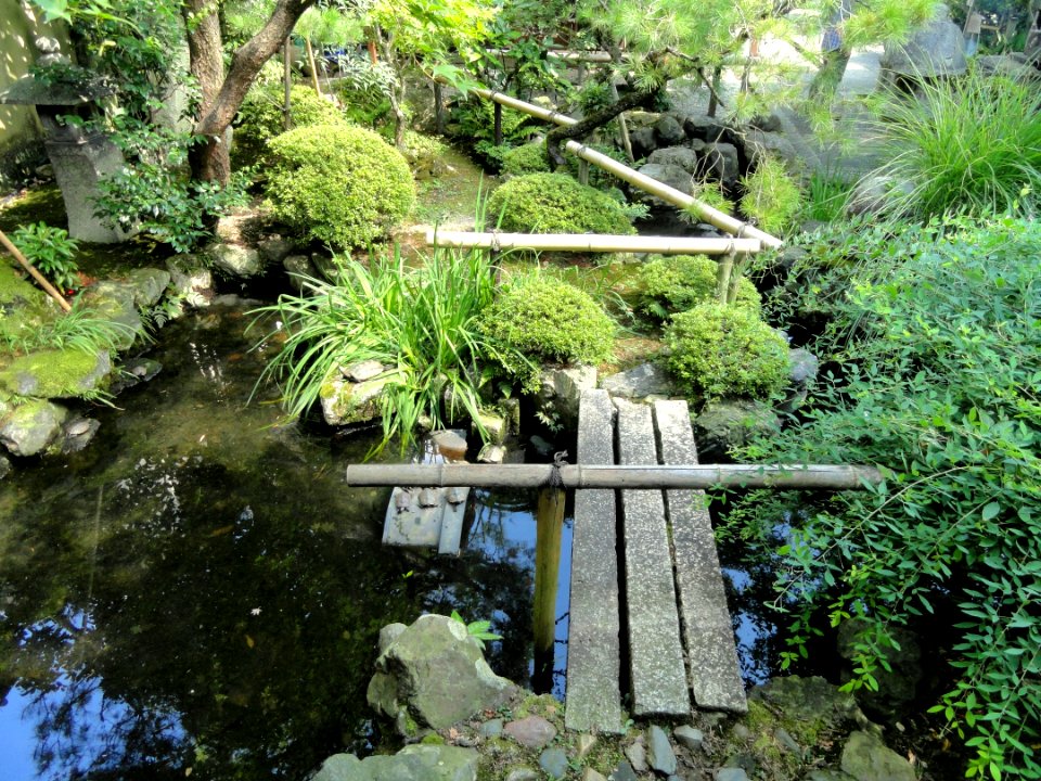Garden - Gichuji - Otsu, Shiga - DSC06860