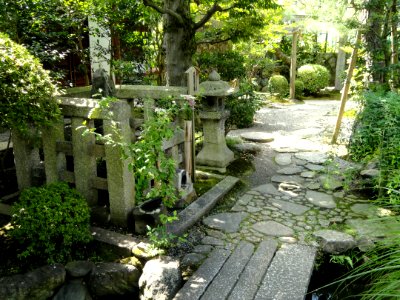 Garden - Gichuji - Otsu, Shiga - DSC06870