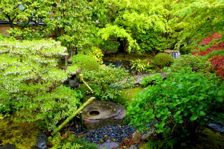 Garden - Kanchi-in - Toji - Kyoto, Japan - DSC07129